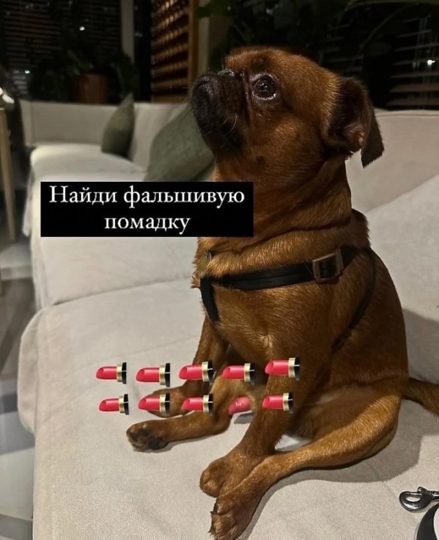 Так себе картинки 20.01.25