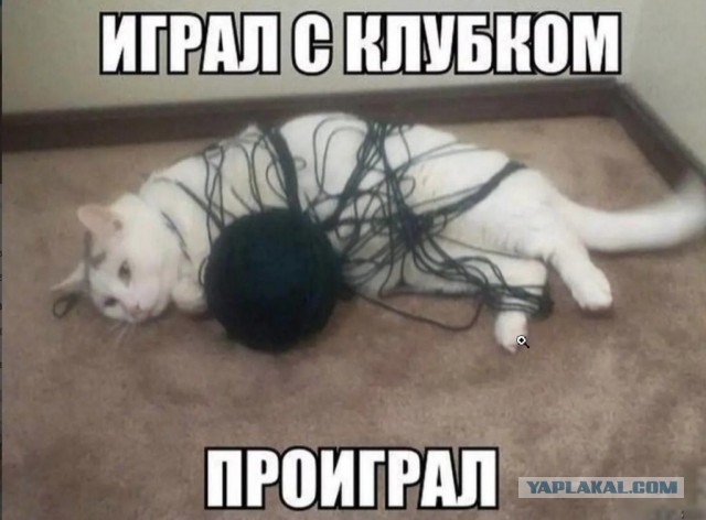 Картинки не для всех