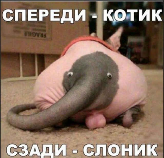 Завалялось тут случайно немного забавных картинок