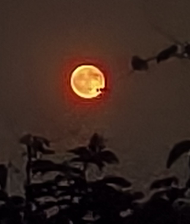 Хвалимся луной?