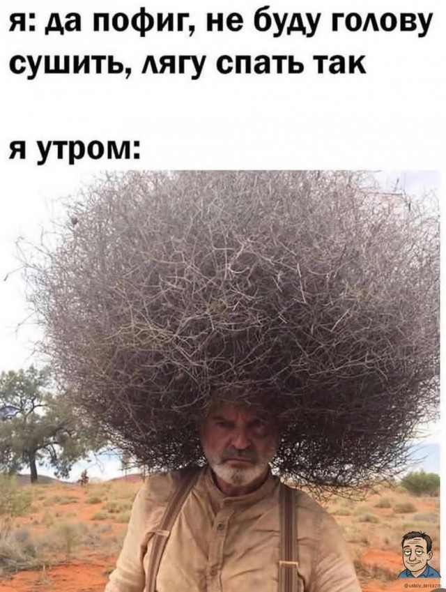 Так себе картинки 06.07.25