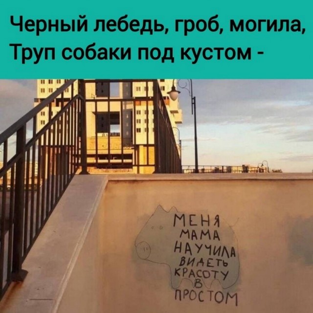 Картинки 26.08.25