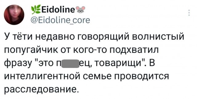 Картинки для деградации 35 (разной степени свежести)