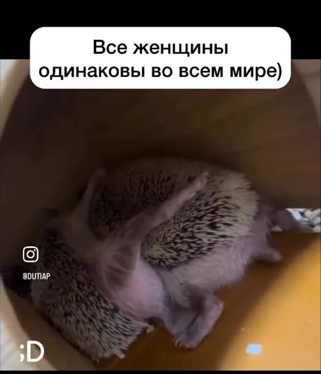 Так себе картинки 02.10.25