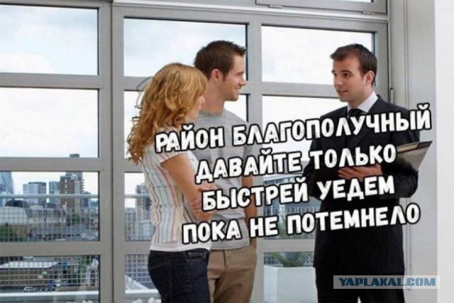 Веселые картинки в пятницу (03.02)