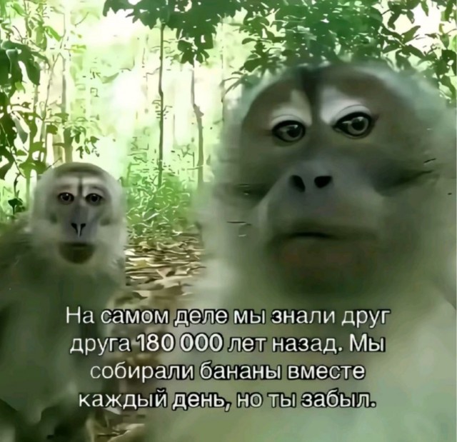 Воскресные картинки