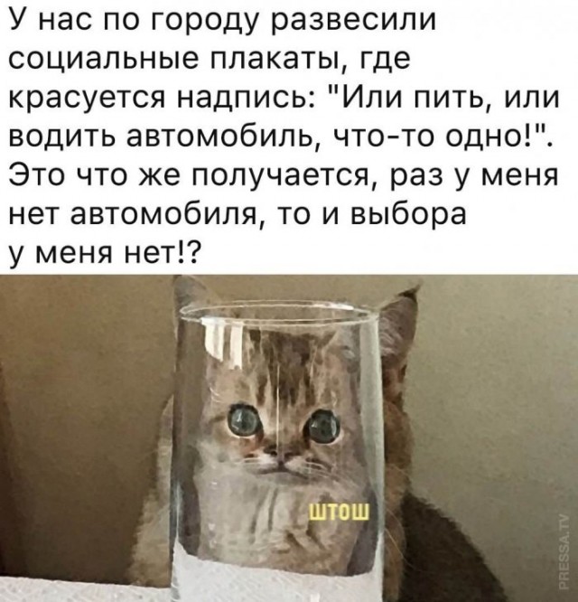 Веселые картинки в понедельник (22.12)