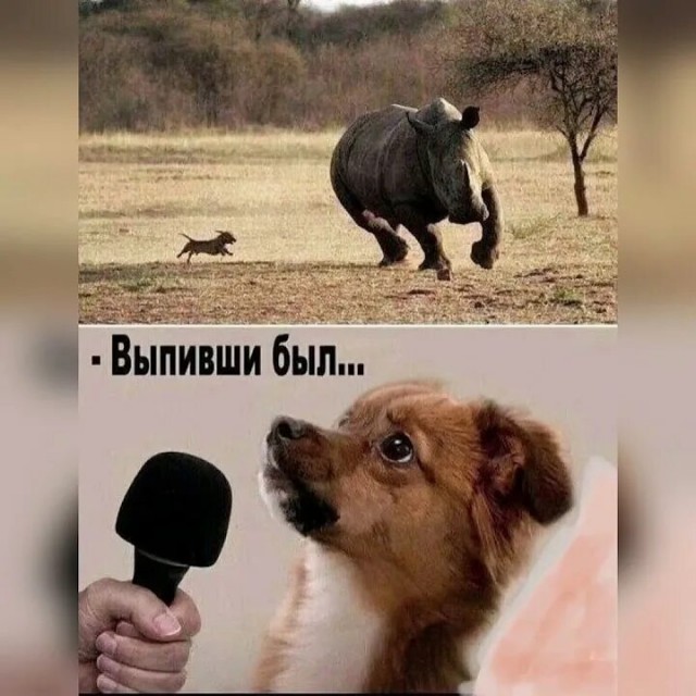 И тут Геннадий пр*хуел