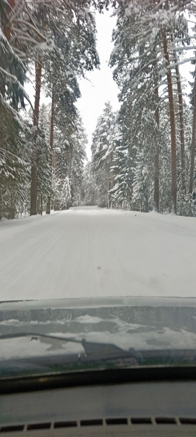 Сказочная дорога.