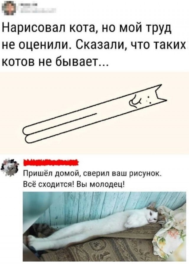Так себе картинки 25.01.26