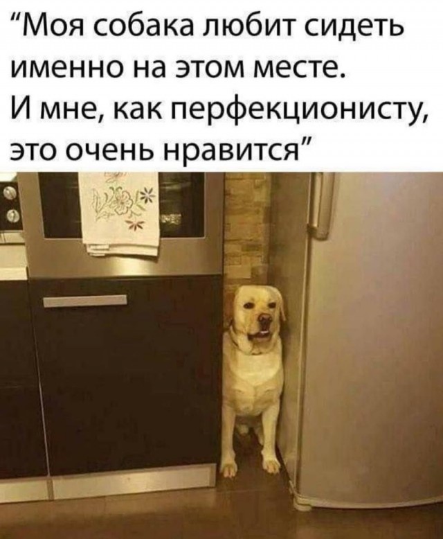 Так себе картинки 22.02.26