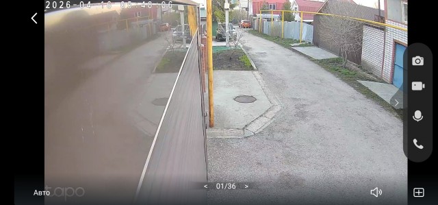 Дачные соседи
