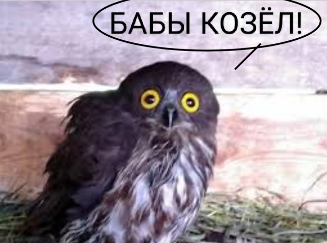 Многие виды птиц боятся женщин больше, чем мужчин, и никто не знает почему. Научное иследование