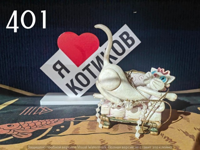 Жизнь домашнего приюта "Котоленд" 547