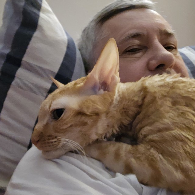 С котовторником))