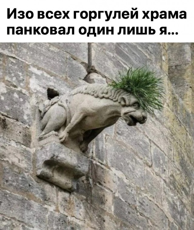 Картинки для деградации 225 (разной степени свежести)