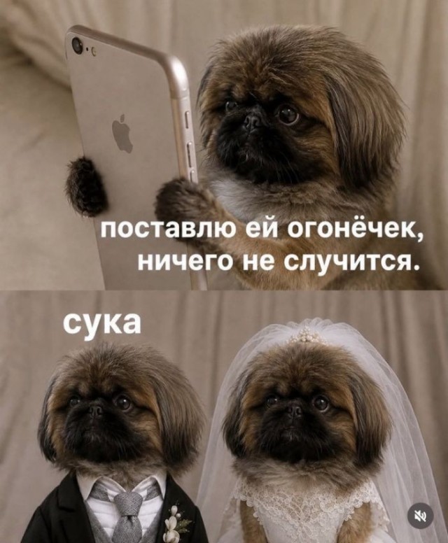 Так себе картинки 14.09.26