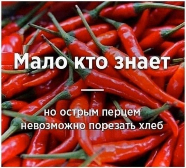 Вместо мозга — аппендикс