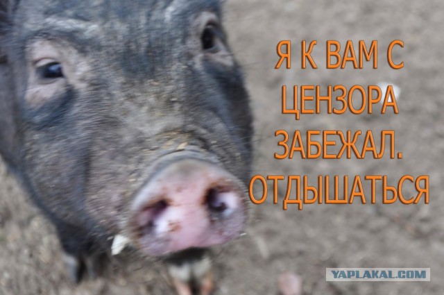 Яценюк подал в отставку.