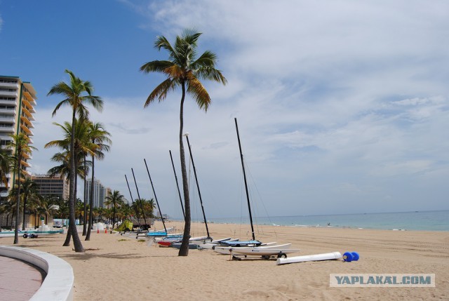 Каникулы во Флориде