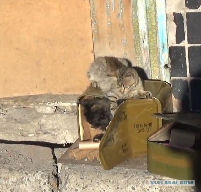 Зачистка аэропорта от войск украинских ВС