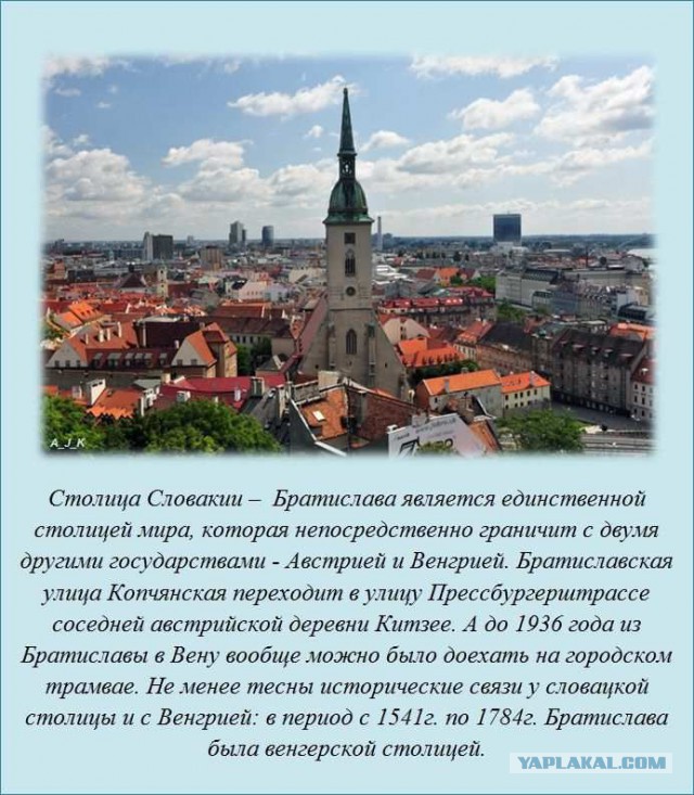 20 фактов обо всем