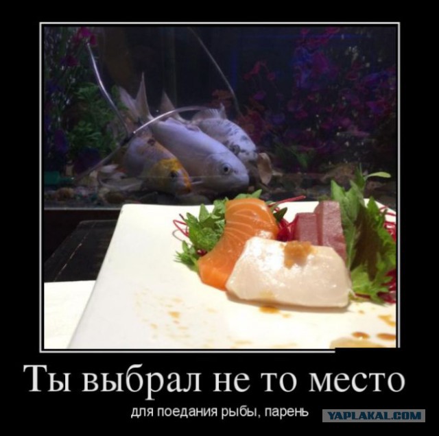 Демотиваторов пост