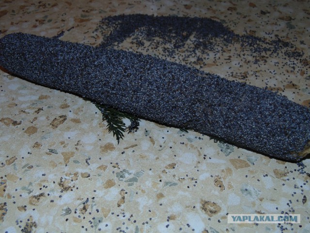 Тема памяти БоРмАnа и Дженибека, Готовим по рецептам ребят