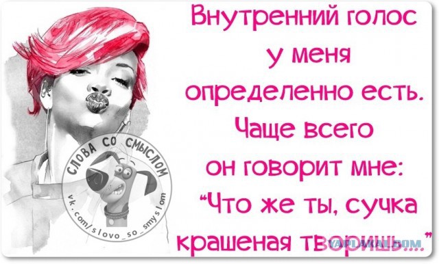 Веселые жизненные наблюдения из Вредного журнала