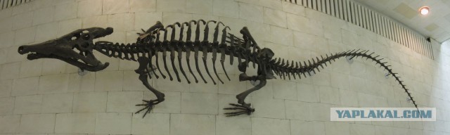 10-ка самых устрашающих доисторических монстров