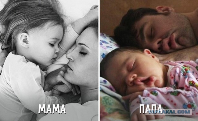 В чем разница между мамой и папой