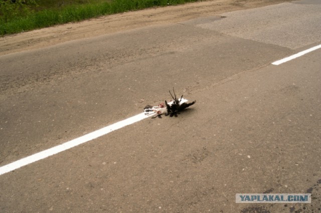 В Екатеринбурге ночью новую разметку нанесли