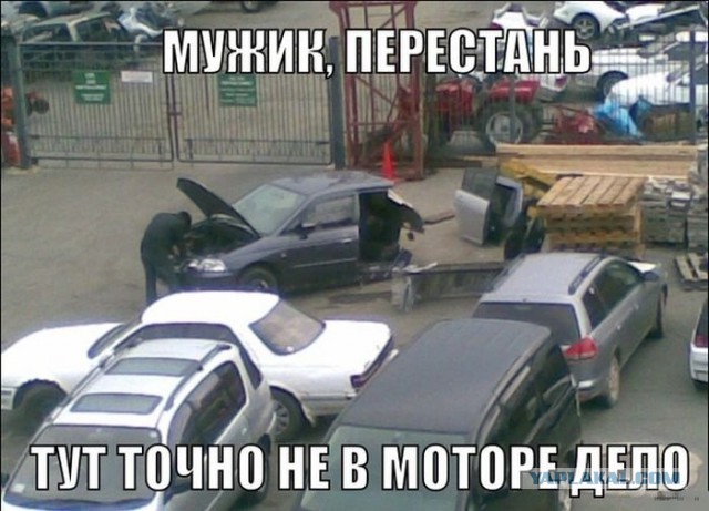 Картинки для настроения