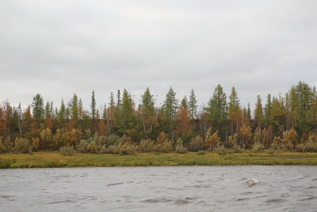 Экспедиция к 503 стройке.