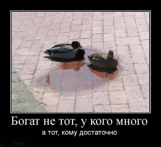 Прикольные картинки и демотиваторы