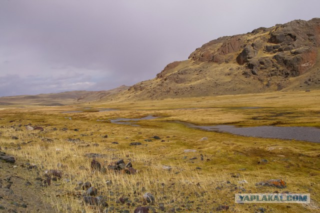 Путешествие по Алтаю в мае 2014 года