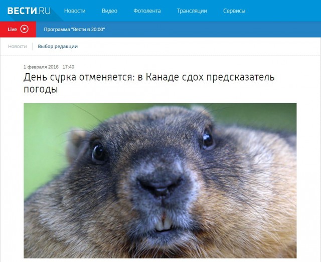 Подборка картинок из сети
