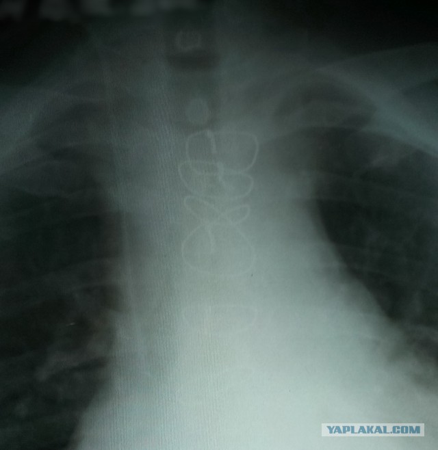 У меня сегодня ГОДОВЩИНА!