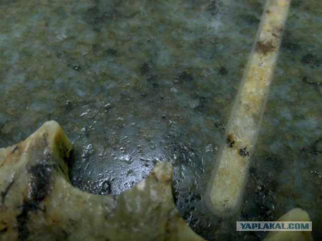 Нарды