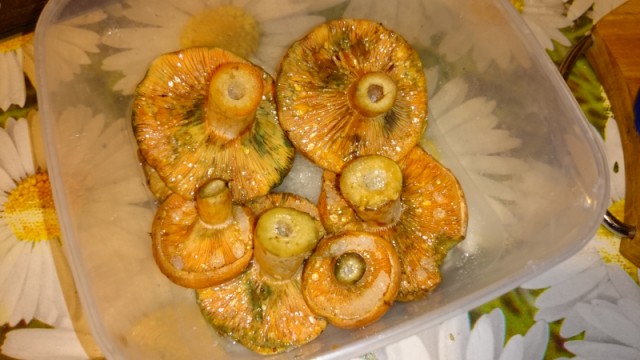 Кухня (кулинарное и околокулинарное общение)