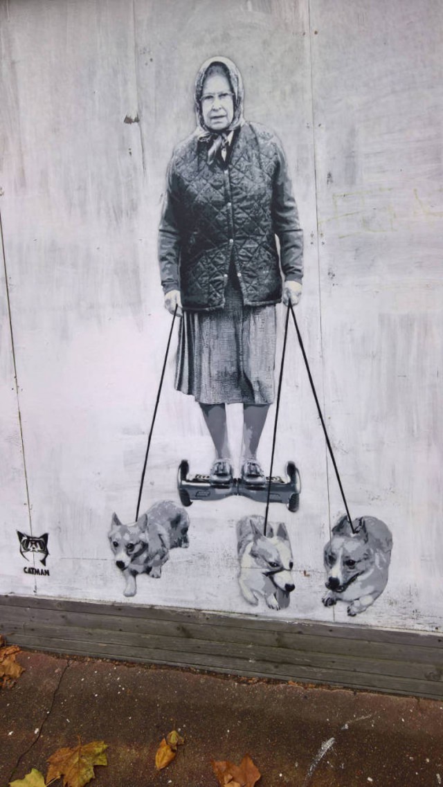 Прикольные картинки