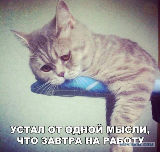 Подборка интересных и веселых картинок
