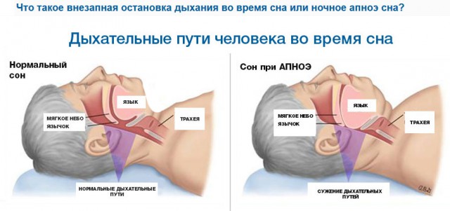 Несколько дней из жизни японских сумоистов