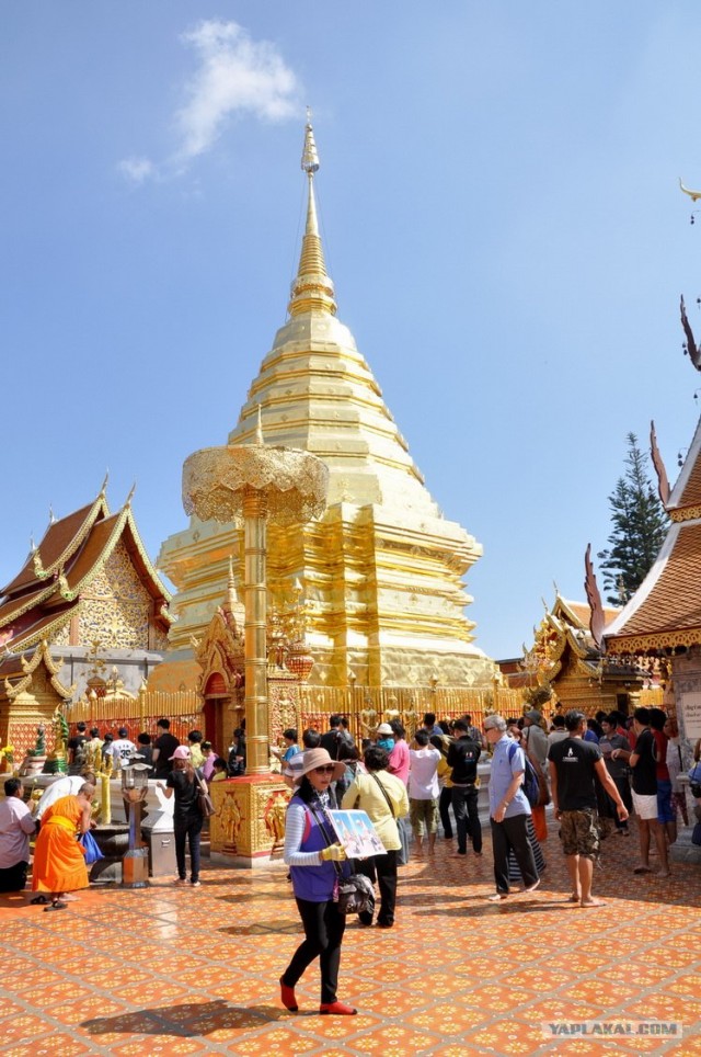 Чианг Май. Жемчужина Севера.