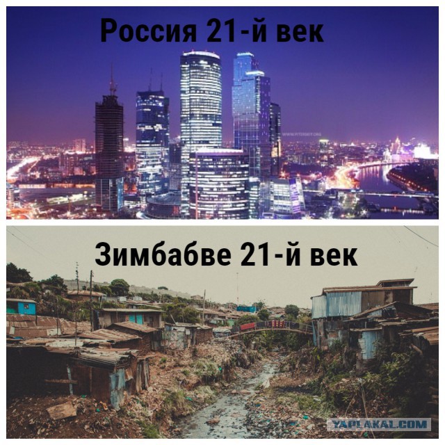 «Я влюбилась в Африку — безумно и навсегда». Россиянка переехала в Зимбабве, вышла там замуж и осталась работать на ферме