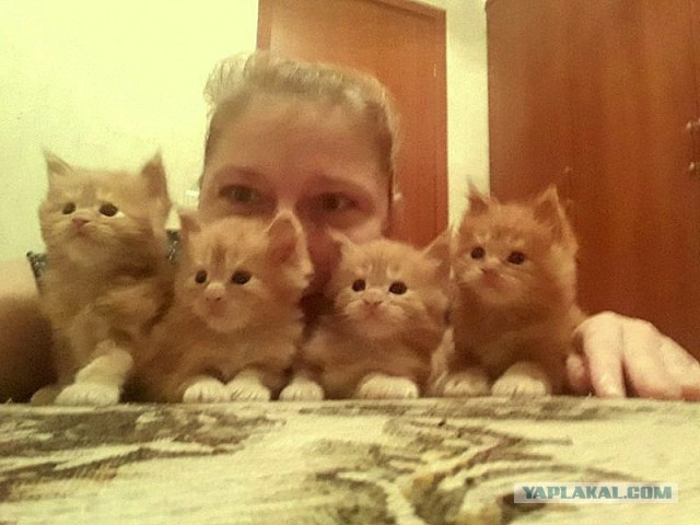 Джокер и его семья