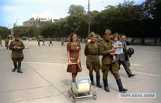 Коллекция военных штампов
