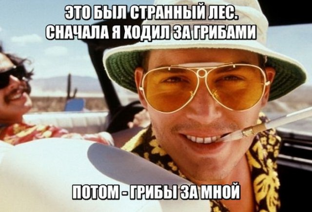 Подборка интересных и веселых картинок