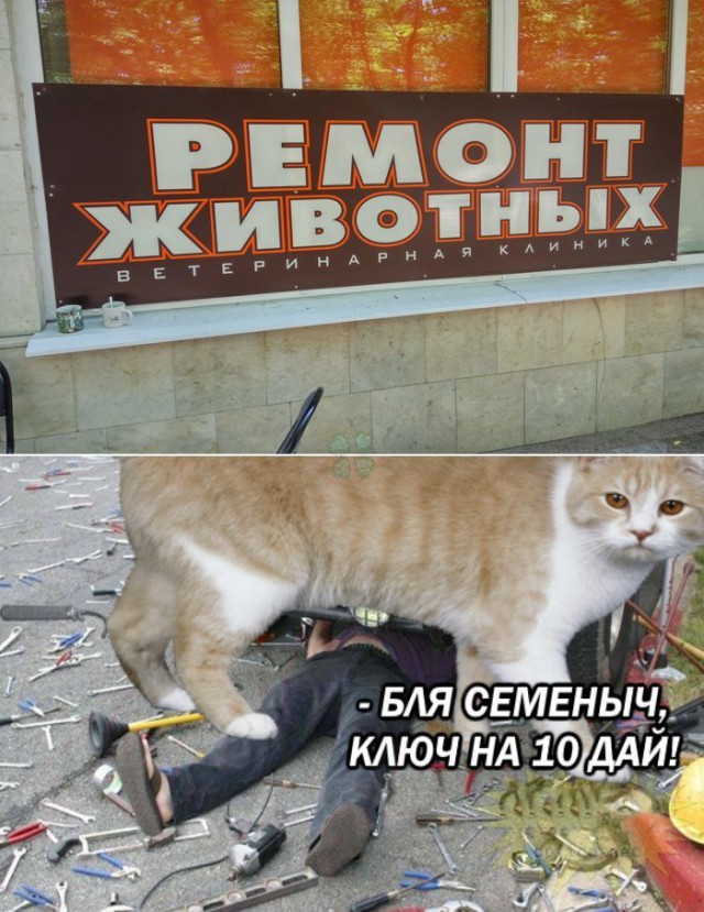 Нестандартный юмор