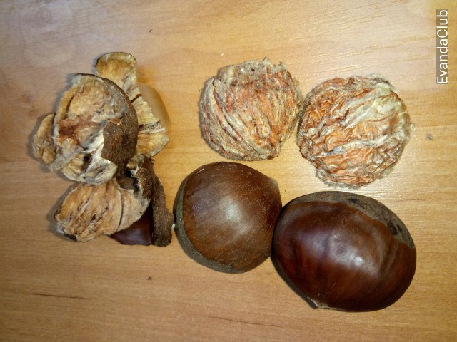 Кулинары поздравляют ЯП с днём рождения!